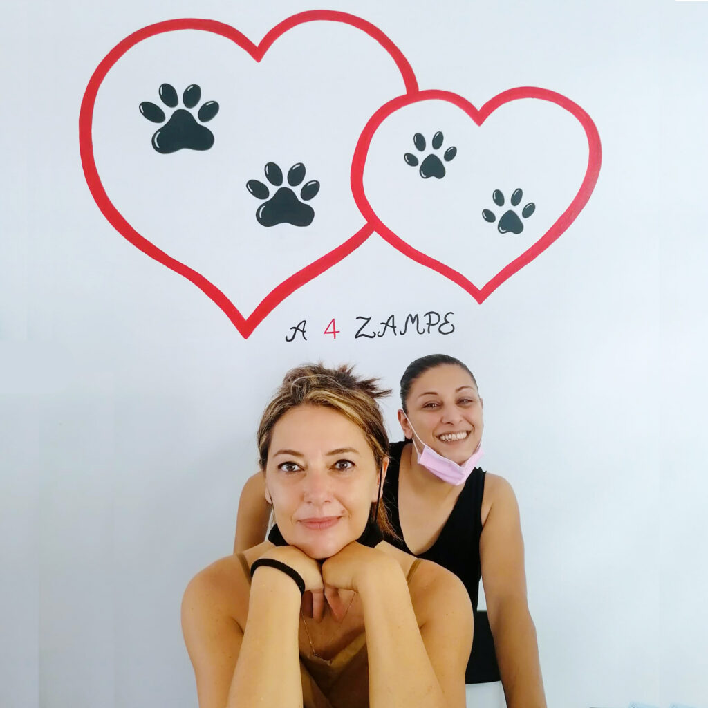 cuori a quattro zampe ladispoli negozio cani gatti centro commerciale la palma