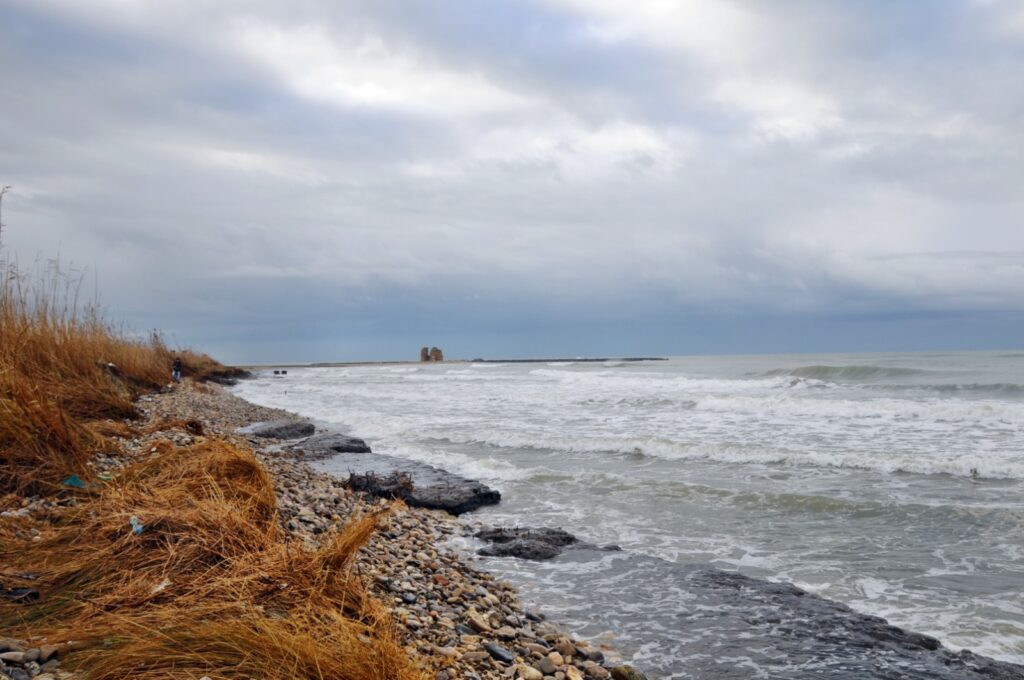 raccolta firme torre flavia