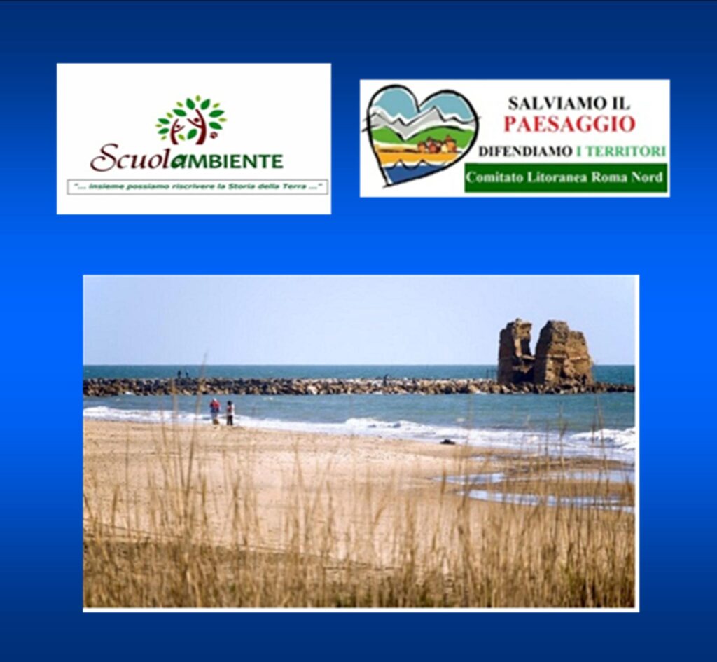 raccolta firme torre flavia