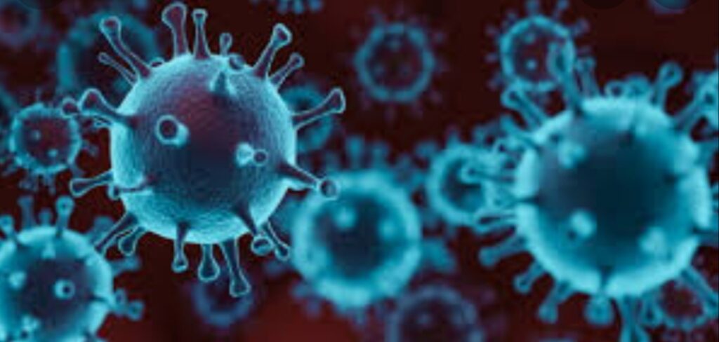 Coronavirus: 6 nuovi casi a Cerveteri e 6 a Ladispoli