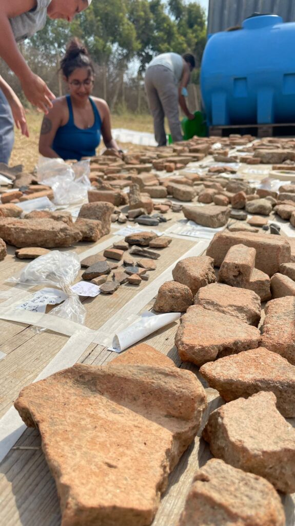 Santa Marinella assessore Pyrgi