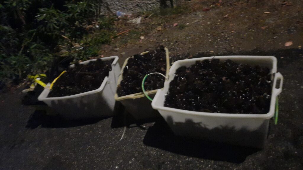 Santa Marinella pescatori frodo