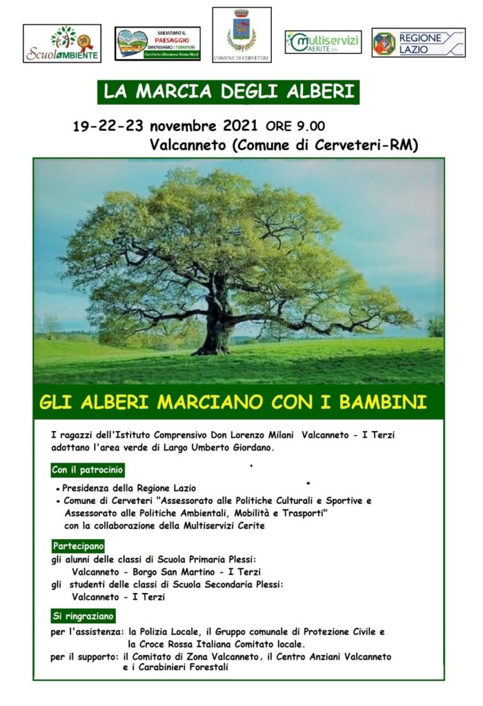 Marcia degli alberi Valcanneto