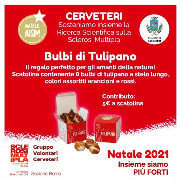 Sclerosi Multipla Natale Aism