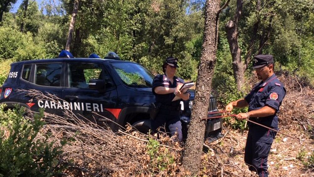 Bracconaggio: cacciatori fermati tra Tolfa, Civitavecchia e Manziana