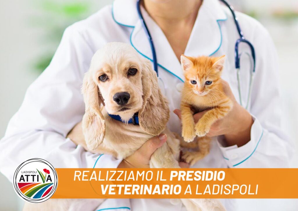 Ladispoli Attiva: “Serve un presidio veterinario in città, raccolte 2000 firme"