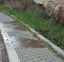 Cerveteri perdita acqua Vignali