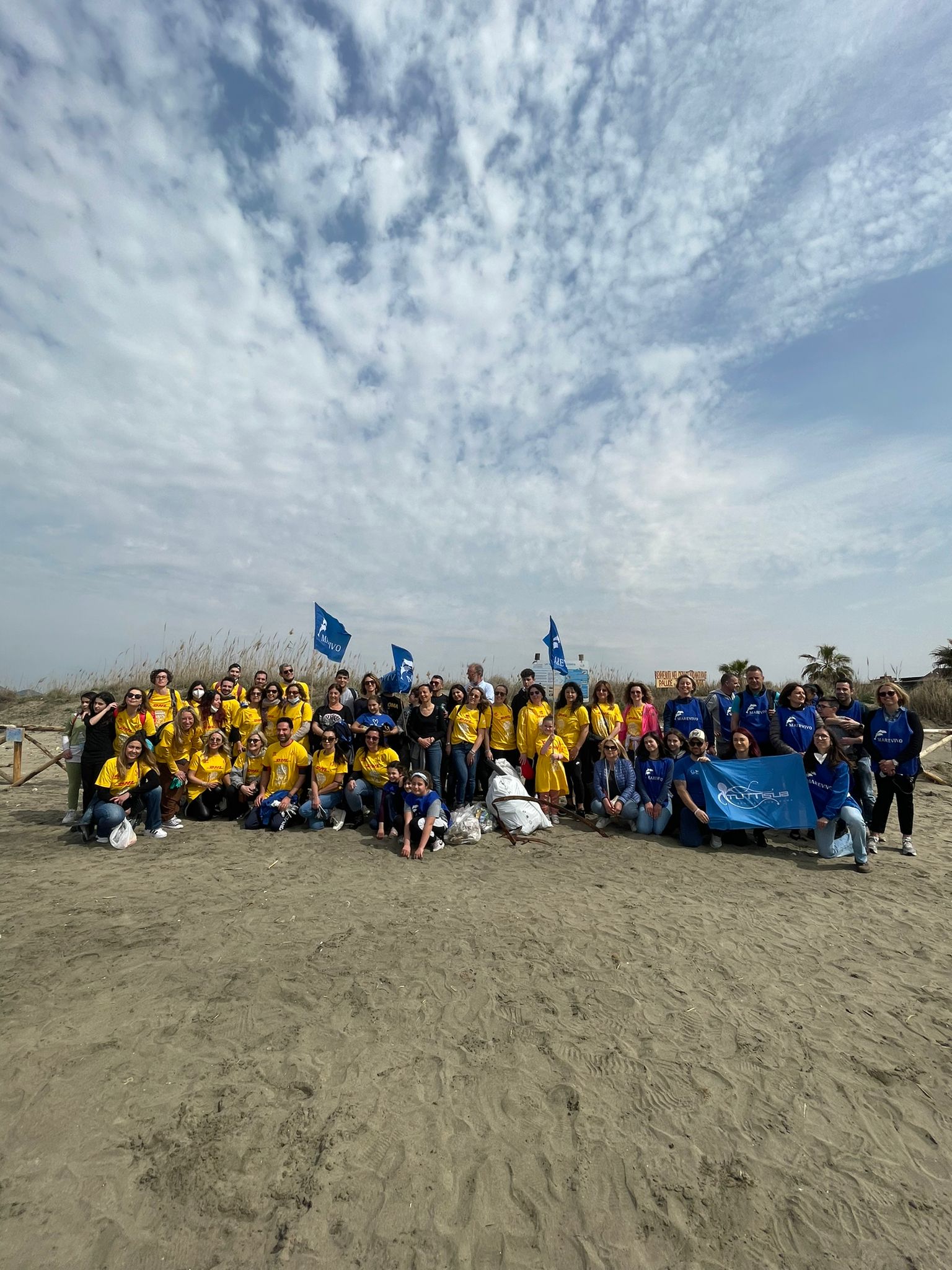 torre flavia spiaggia come arrivare