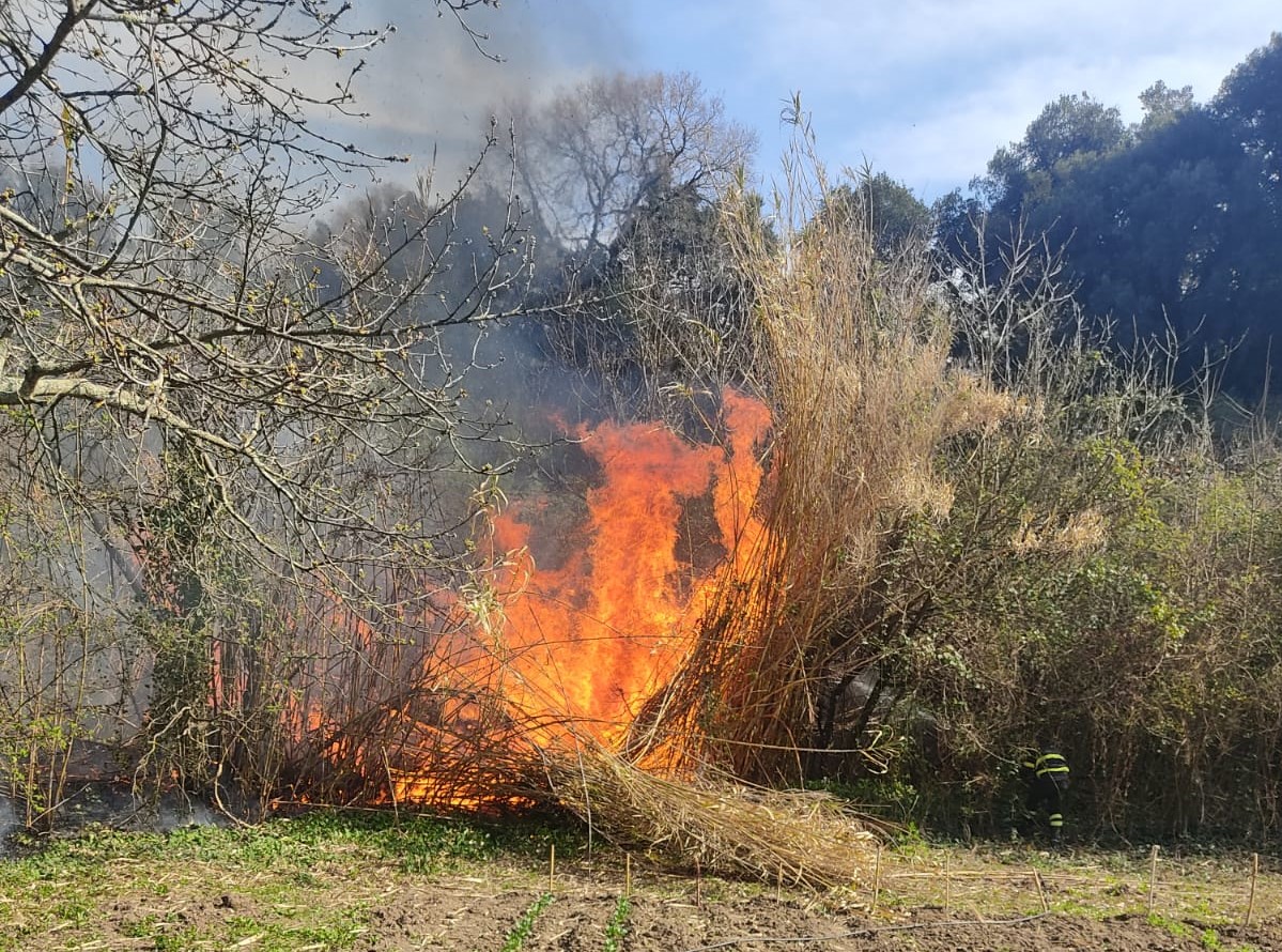 Civitavecchia Campagna Antincendio Boschivo 2022