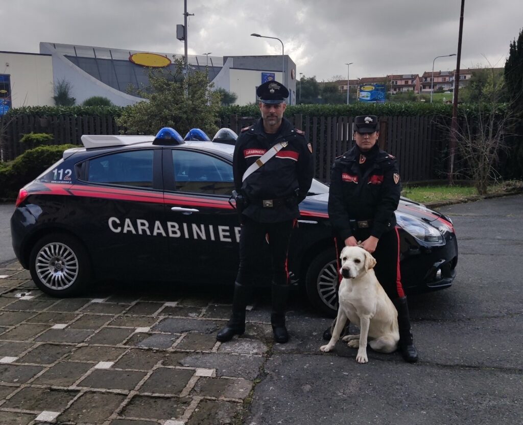 Bracciano labrador Carabinieri