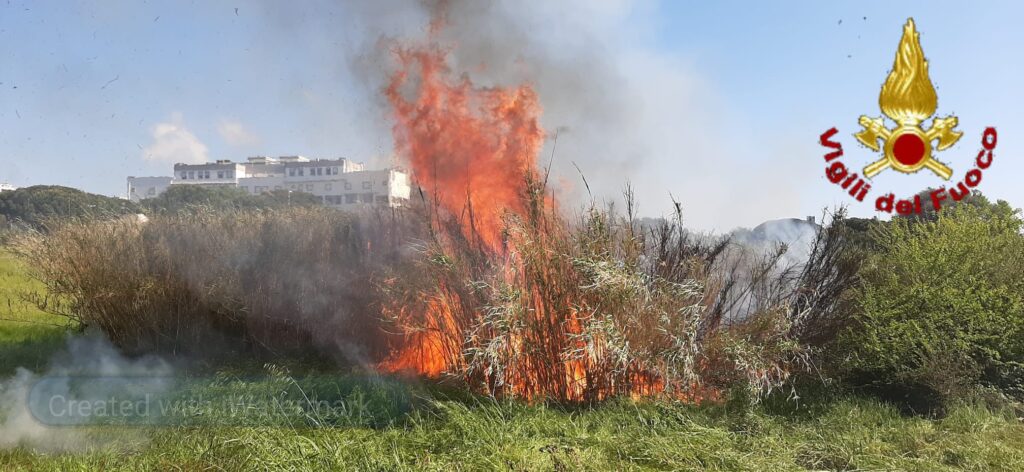Civitavecchia fuoco sterpaglie ospedale