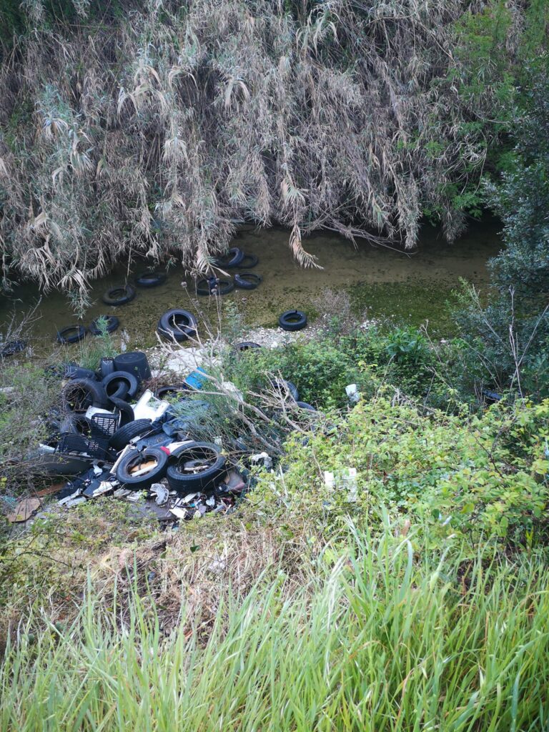 Santa Marinella: decine di copertoni abbandonati nel verde