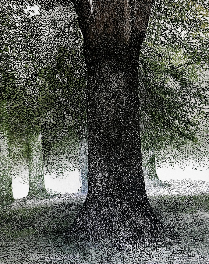 Cerveteri Anna Tonelli mostra