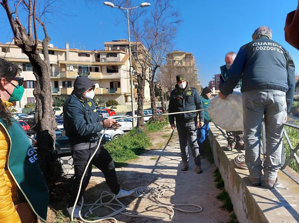 Ladispoli Fareambiente sponde Sanguinara