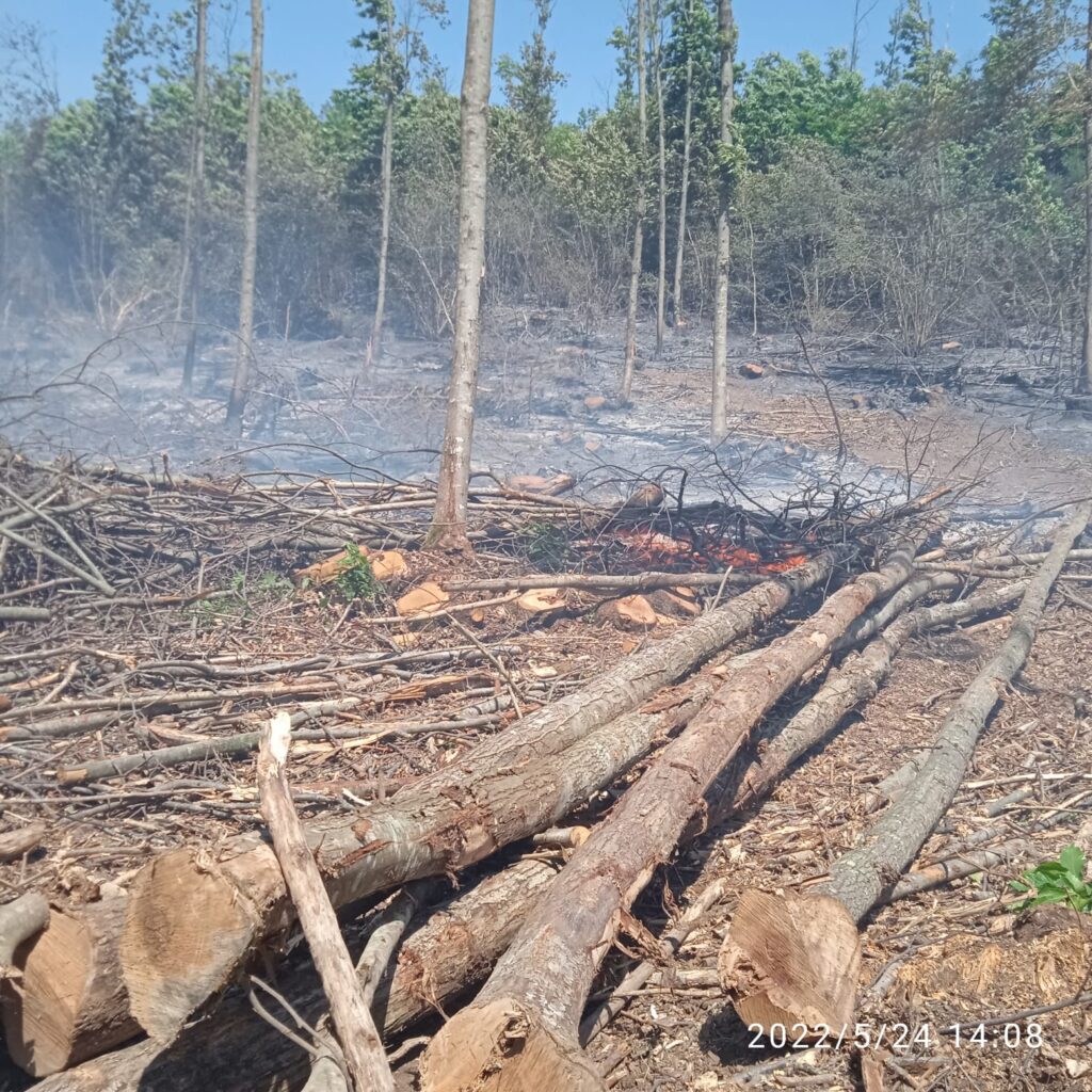 Incendio Oriolo Romano