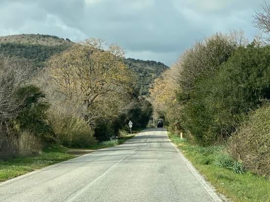 Chiusa la strada che collega Tolfa a Santa Severa