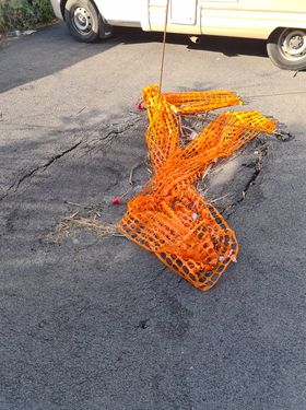 Ladispoli erba rifiuti via Capua