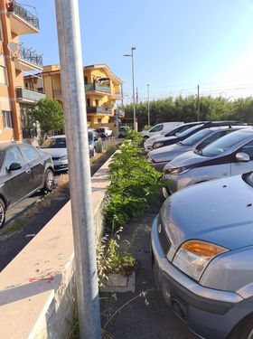 Ladispoli erba rifiuti via Capua
