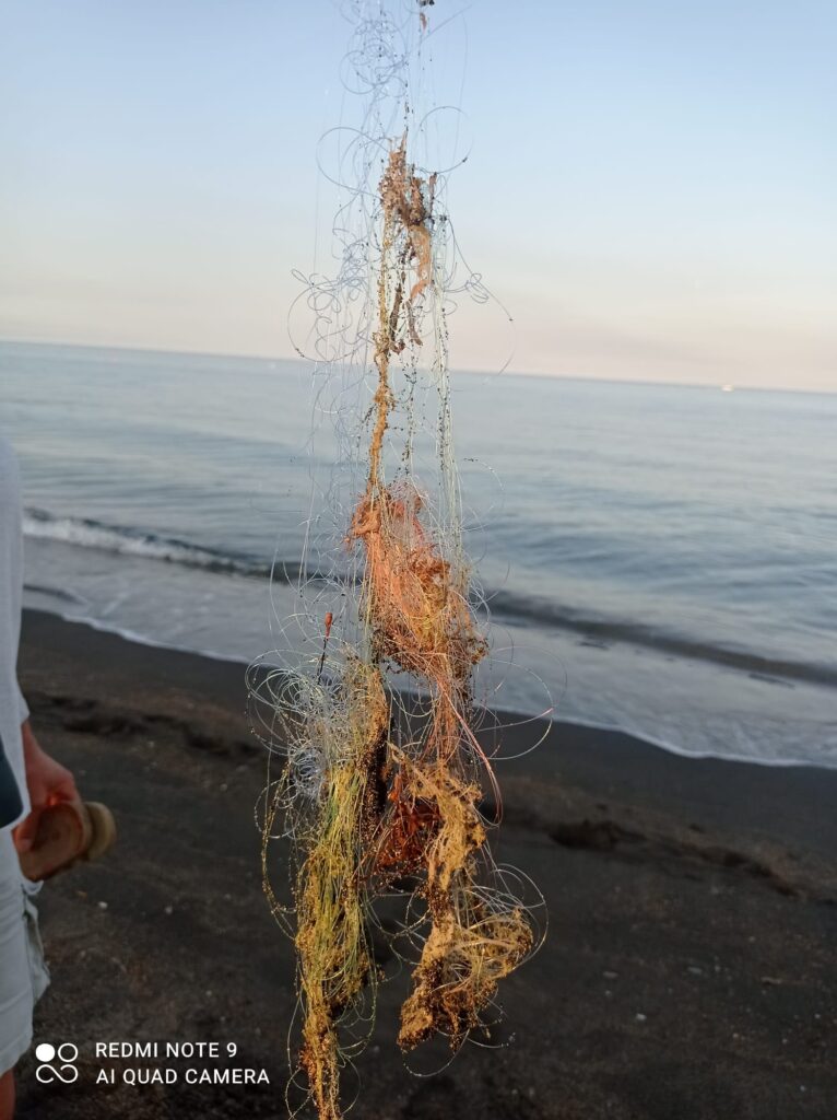 Cerveteri ami lenze spiaggia