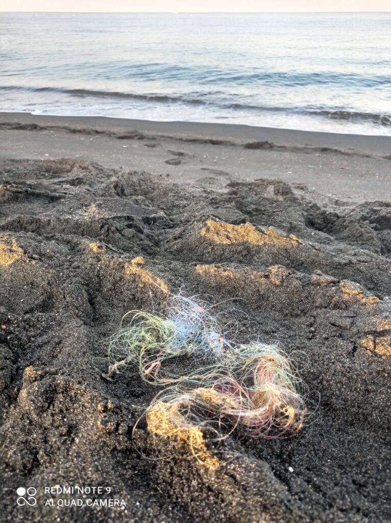 Cerveteri ami lenze spiaggia