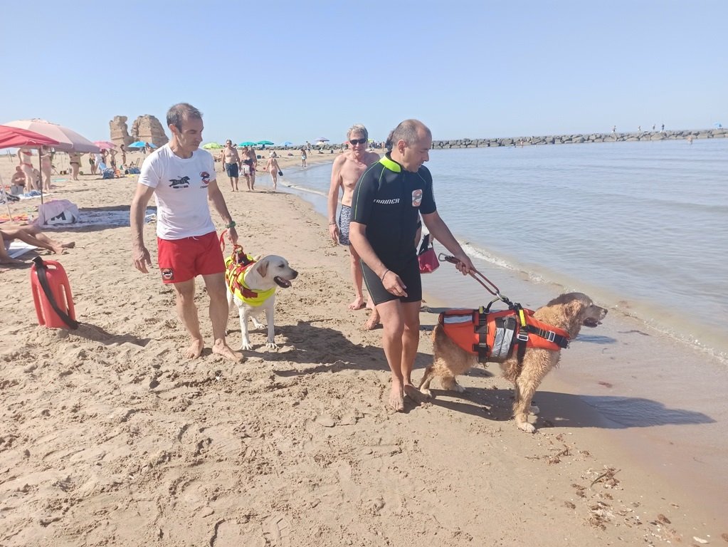 Spiagge sicure a Ladispoli: nei fine settimana presenti anche le unità cinofile