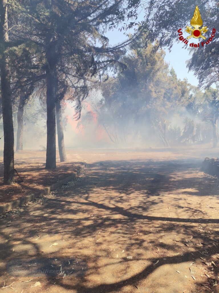 Cesano fiamme abitazioni