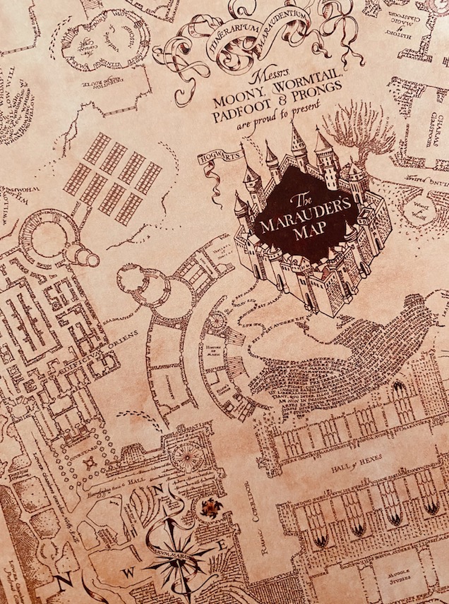 #BackToHogwarts, il primo settembre Tarquinia si tuffa nel mondo magico di Harry Potter