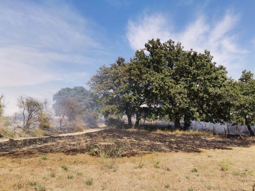 Torna a bruciare Anguillara Sabazia