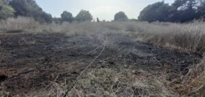 Cerveteri, incendio di sterpaglie in via Sant'Angelo