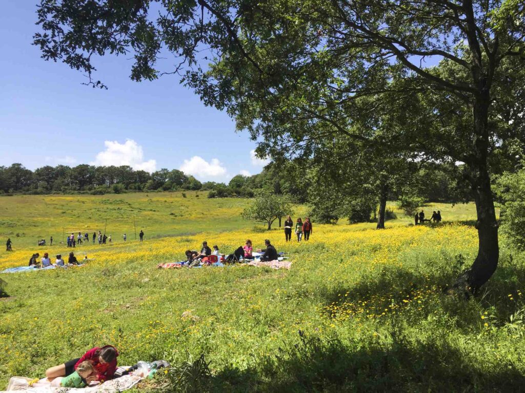 Torna Il Picnic Musicale Del Tolfa Jazz Festival