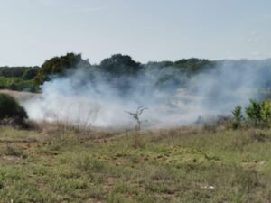 Cerveteri, incendio di sterpaglie in via Sant'Angelo