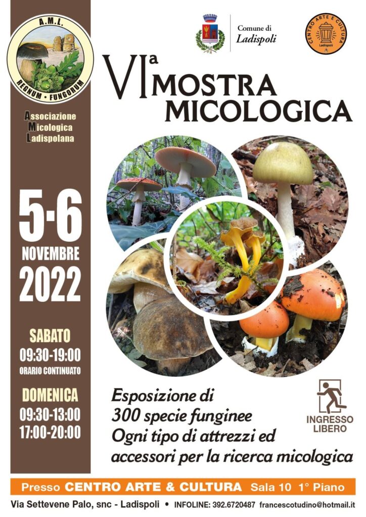 Ladispoli, mostra micologica al Centro di Arte e Cultura