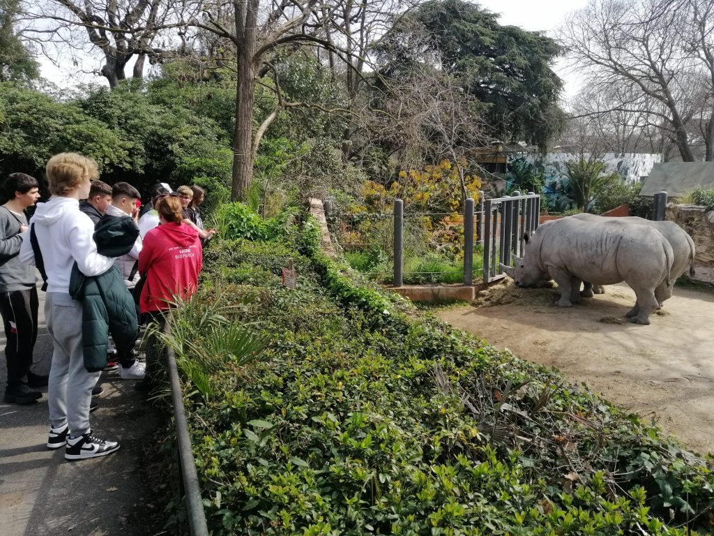 Il "Di Vittorio" di Ladispoli al bioparco di Roma