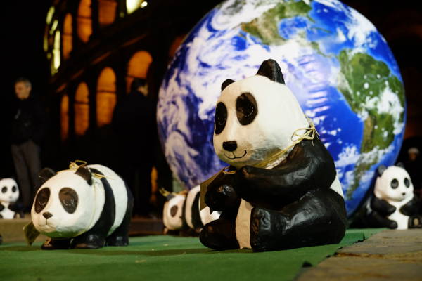 “Earth Hour - l’Ora della Terra”, per un'ora luci spente in tutto il mondo. Un gesto simbolico, quale può essere l'impatto di un'azione condivisa?