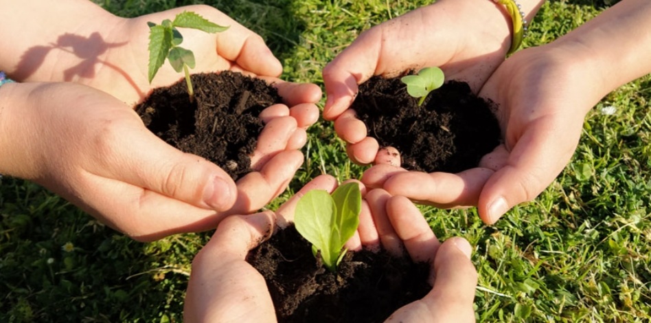 Santa Marinella, l'ambiente entra a scuola: via alle iniziative su salvaguardia della biodiversità