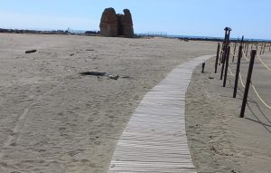 Ladispoli, al via l’iniziativa di riqualificazione dell'area protetta di Torre Flavia