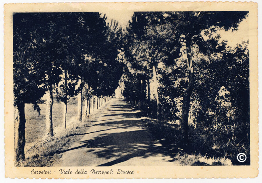 Con il viale alberato che porta alla Necropoli della Banditaccia il Mengarelli ha voluto creare un paesaggio e non solo una strada