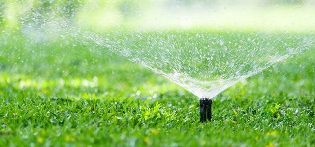 Marina di Cerveteri, "Dov'è finita l'acqua irrigua"