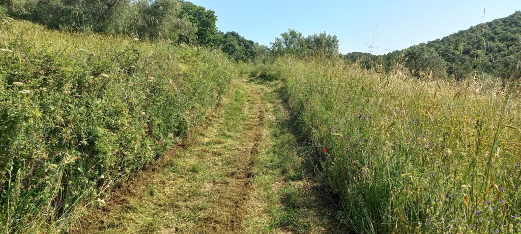 Parco Bracciano-Martignano manutenzione