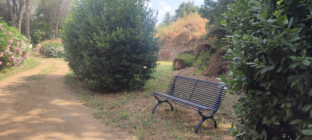 Intervista al Direttore del Parco Archeologico di Cerveteri e Tarquinia, Vincenzo Bellelli