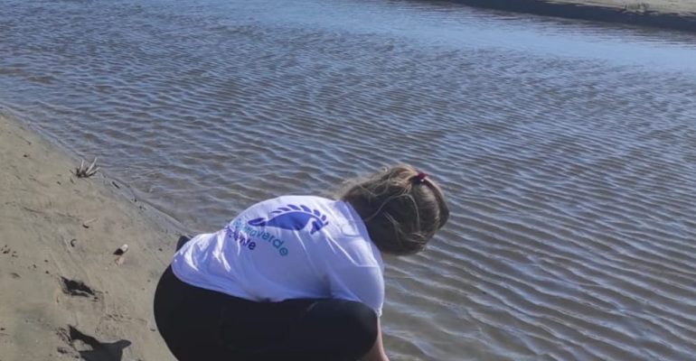 Mare inquinato nel Lazio: pochi promossi e tanti bocciati da Goletta Verde