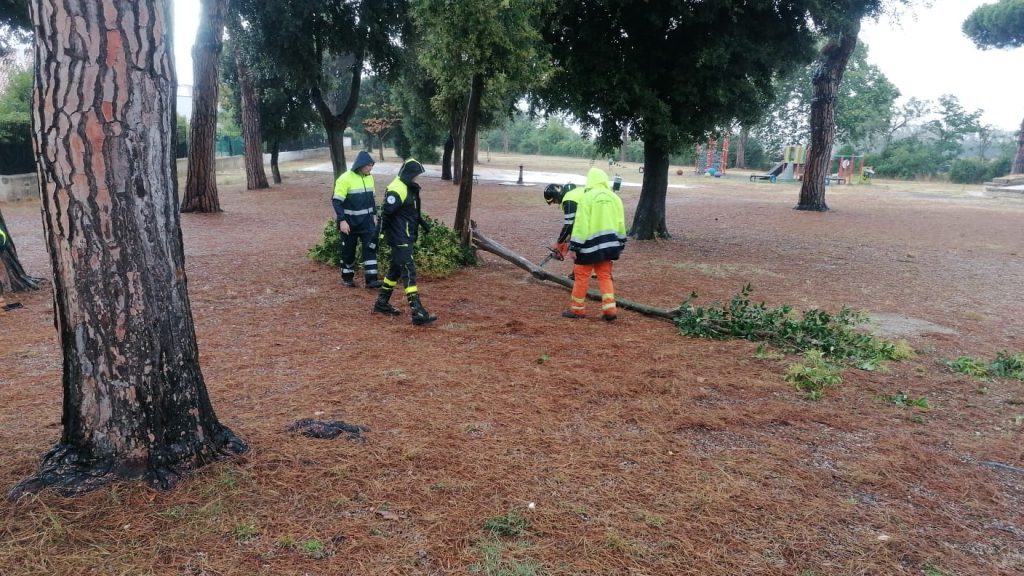 Vento forte e pioggia: rami caduti anche a Marina di Cerveteri