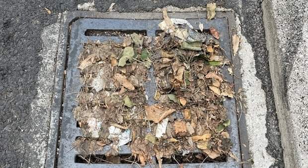 Ladispoli abbandonata come mai prima