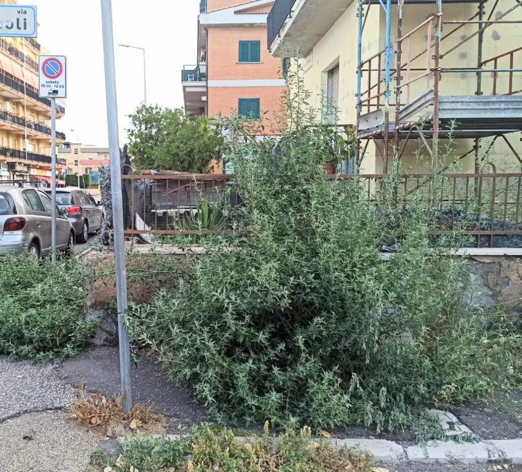 Ladispoli abbandonata come mai prima