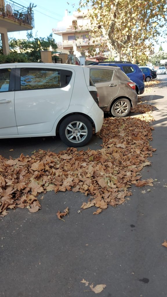 Ladispoli abbandonata come mai prima
