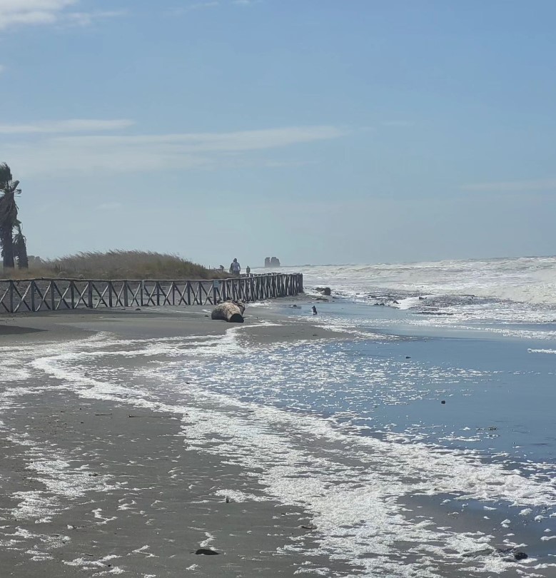 Mareggiata a Campo di Mare: le parole del Sindaco Gubetti