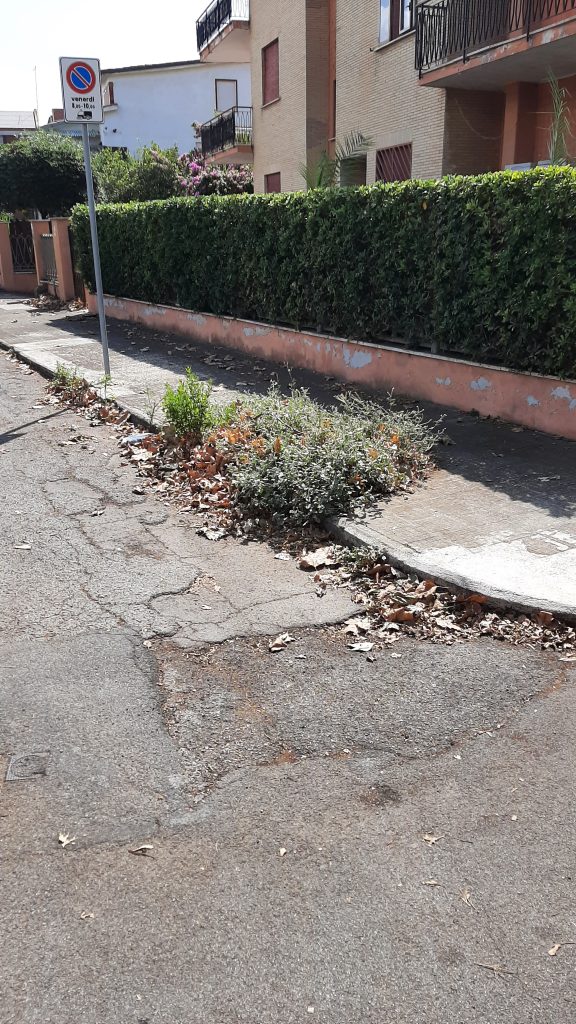 Ladispoli: sporcizia in strada, la segnalazione di un lettore