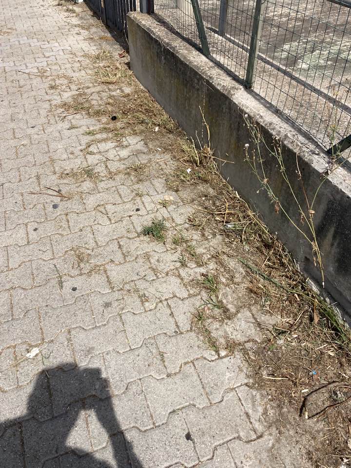 Cerveteri, decoro urbano: Orsomando attacca la Gubetti