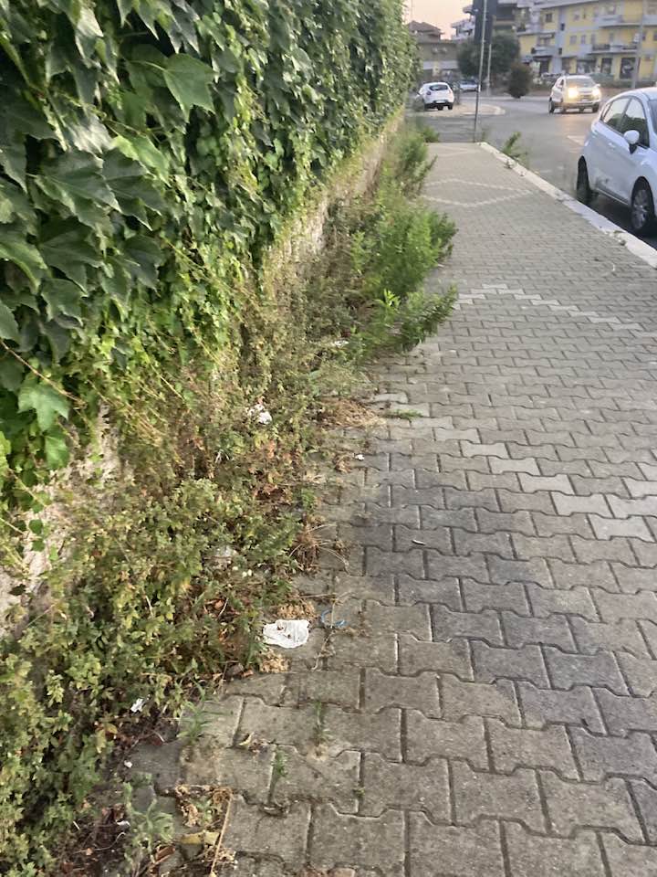 Cerveteri, decoro urbano: Orsomando attacca la Gubetti