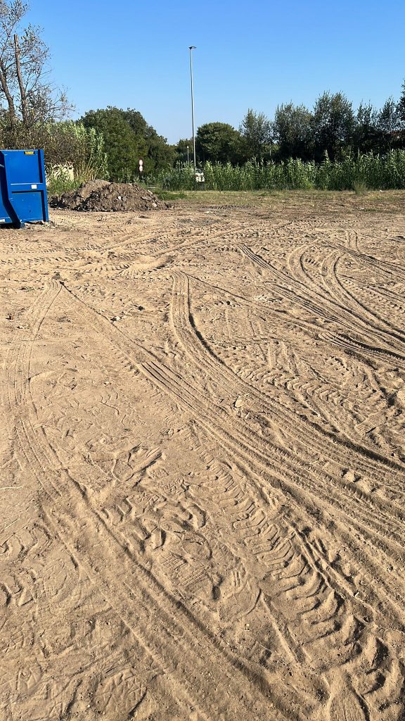 Il deserto nel giardino di Via Iaffei: la denuncia dei cittadini di Cerveteri